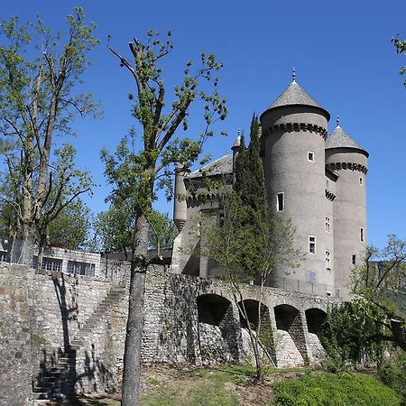 Chateau De Lugagnac Riviere-sur-Tarn ภายนอก รูปภาพ