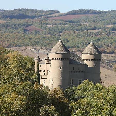 Chateau De Lugagnac Riviere-sur-Tarn ภายนอก รูปภาพ