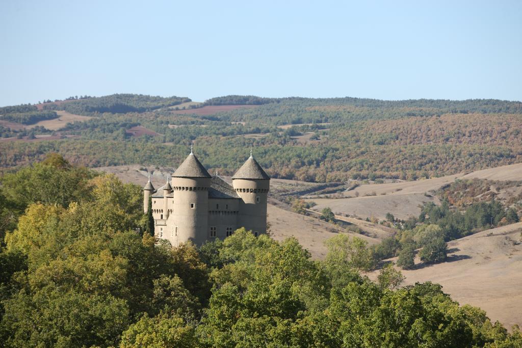 Chateau De Lugagnac Riviere-sur-Tarn ภายนอก รูปภาพ